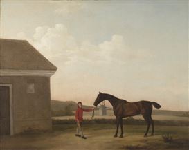 The Rarities and Oddities of a Vanished World