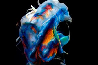 FotoFocus announces 40+ Ohio, Kentucky and Indiana artists selected for AutoUpdate exhibition