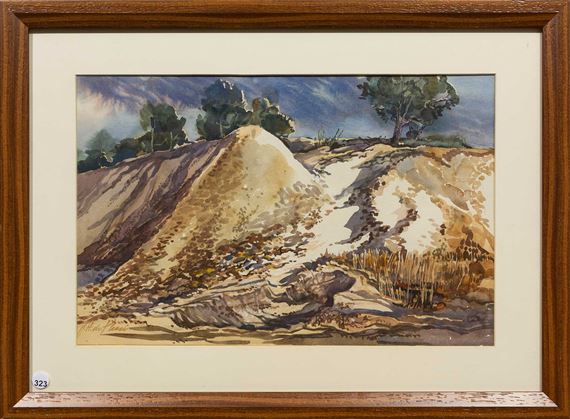 Mine Dumps by J.H. du Plessis