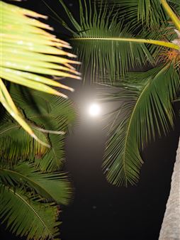 Graham Holoch: The Lazy Bug Goes On Vacation - Gallery 16