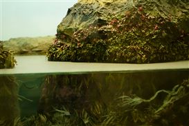 Two Exhibitions in Berlin Focus on Perspectives on Ecology and Modernity