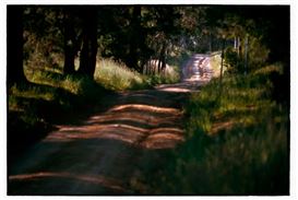 Monash Gallery of Art Presents a Major Exhibition of Works by Bill Henson