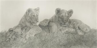 Lion Cubs - Sally Hynard