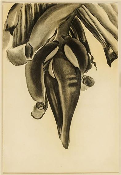 Untitled (Banana Flower) (Buhler Lynes 834) by Georgia O'Keeffe, 1934