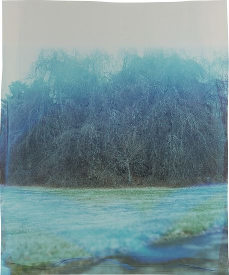 Wolcott at Craig House by John Chiara, 2015