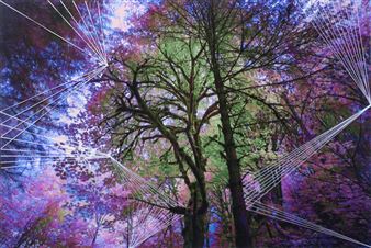 Adriene Hughes and DM Witman: Icebergs and Wildfires - Klompching Gallery