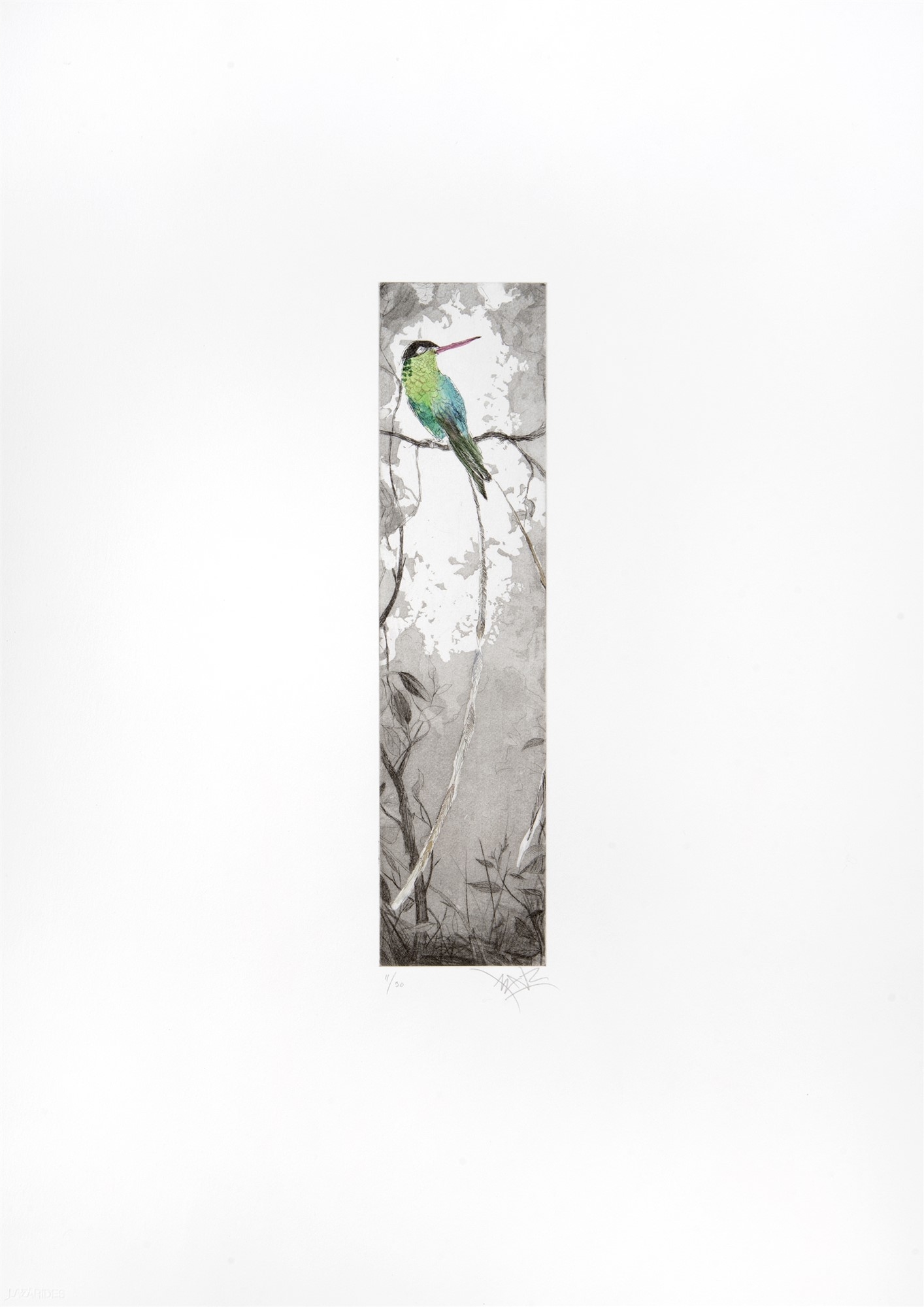 Xenz | Doctor Bird (Dub Plate) (2012) | MutualArt