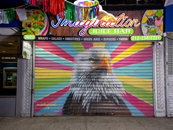 Audubon Mural Project: Photographs by Gail Albert Halaban - Aperture Foundation