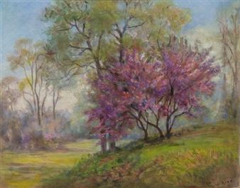 Texas Red Bud Trees - Lucy Rice