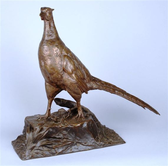 ” Coq faisan” by Charles Paillet