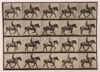 Photo Finish - G. Gibson Gallery