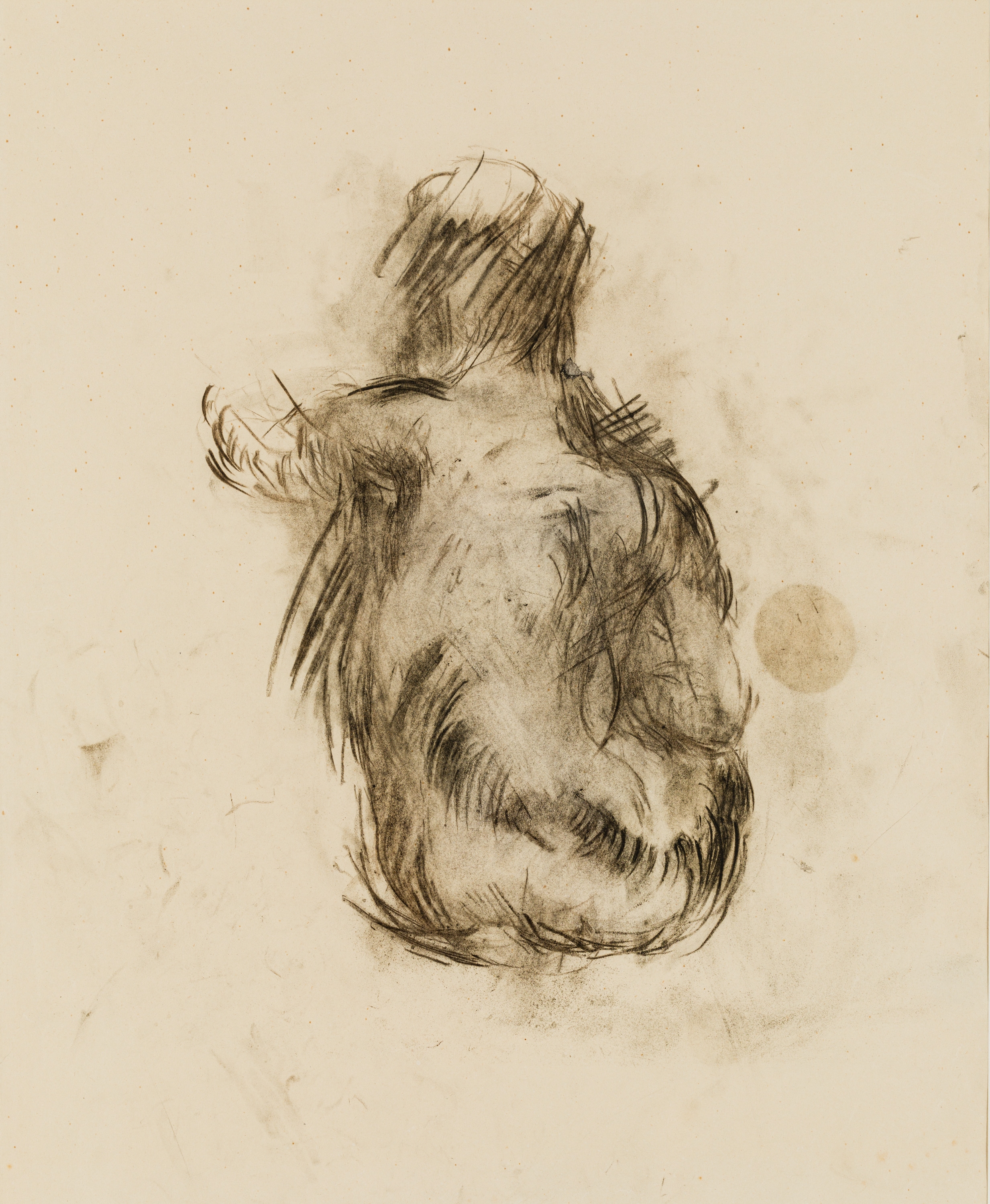 Artwork by Herbert Boeckl, Sitzender Rückenakt, Made of charcoal on paper