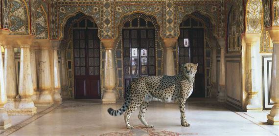 SIGHTINGS: out of the wild - Kiran Nadar Museum of Art, Noida