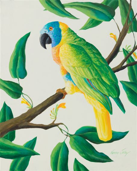 Amazon Parrot - Nancy Jolly