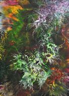 The Jungle Inside - Mia Farizza