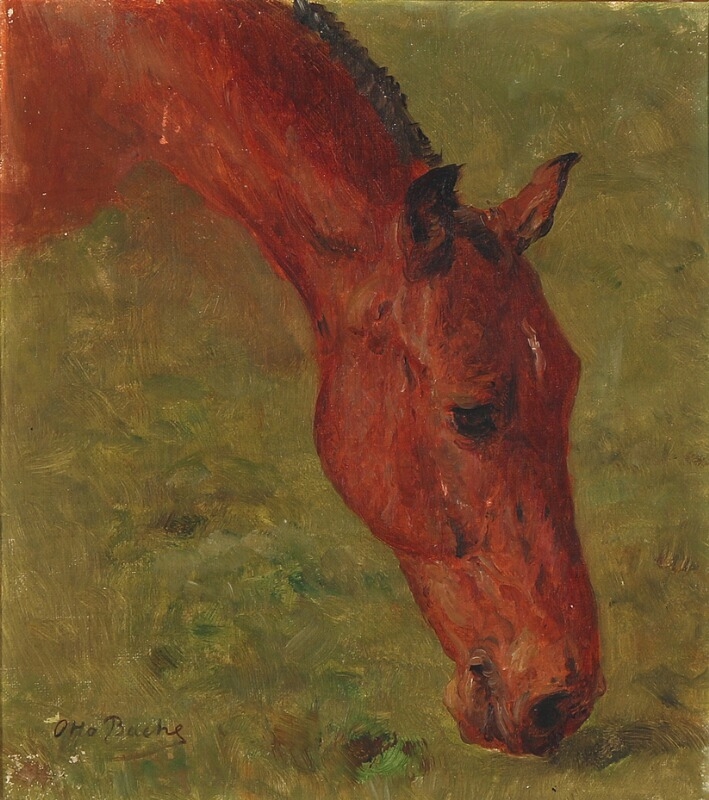 A grazing horse
