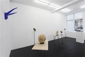 Joanna Rajkowska: The Failure of Mankind