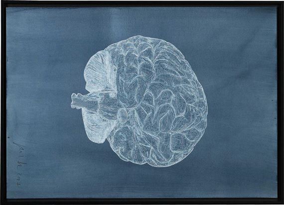 O. T., Plotzeichnung (Gehirn)