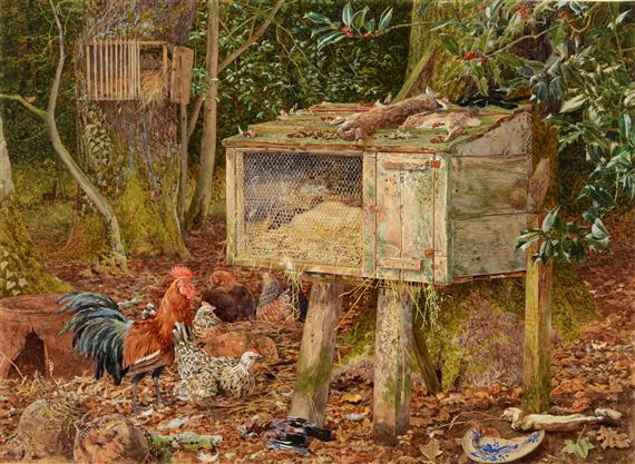 THE FERRET-HUTCH by Martin Snape