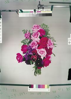 Flower 1 - Claire Aho