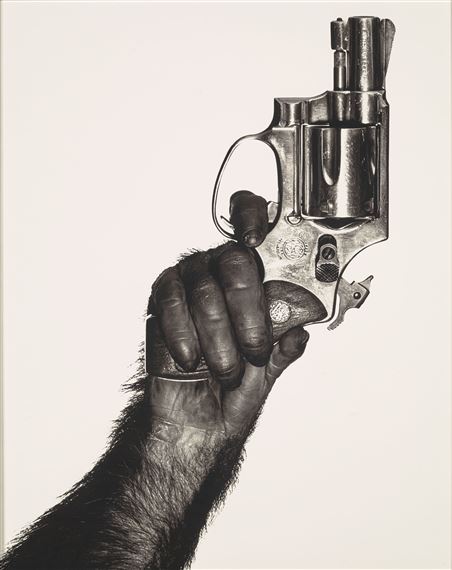 Monkey with Gun, New York by Albert Watson, 1992