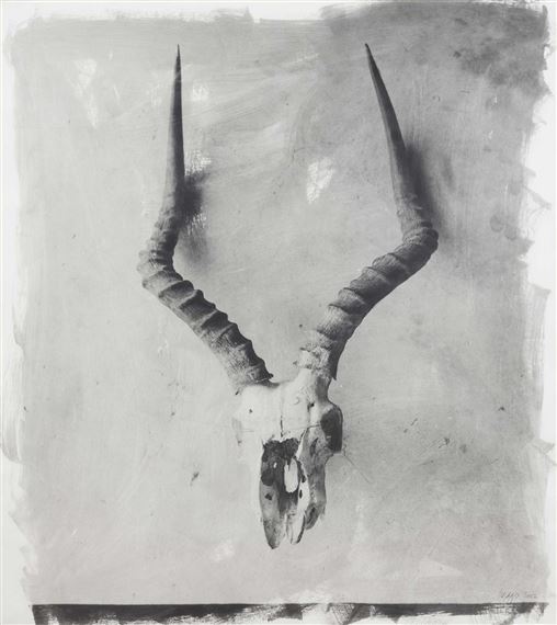 HORNS II by Stephen Inggs