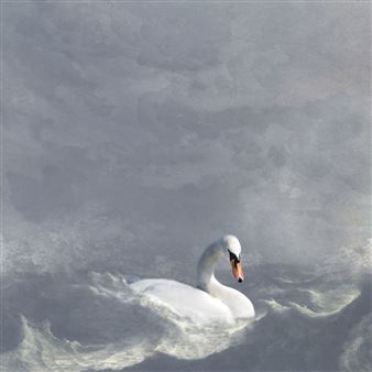 Saskia Boelsums: Landscape Photography - Koster Fine Art Gallery