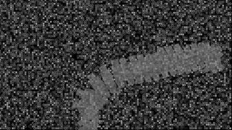 Pratyush Raman & Noor us Sabah Saeed: A Vital Piece of Information: Fragments of a Greater Context - Uqbar