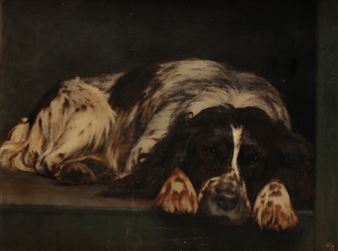 Study of a spaniel - Alfred Henry Dyer