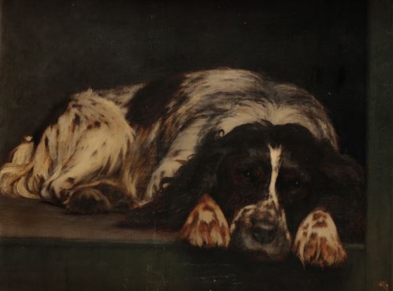 Study of a spaniel by Alfred Henry Dyer, 1928