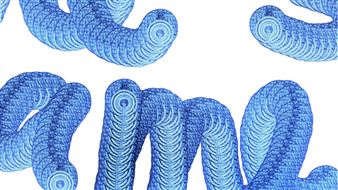 Simon Baumgart: Same Same - Akademie der Bildenden Künste, München