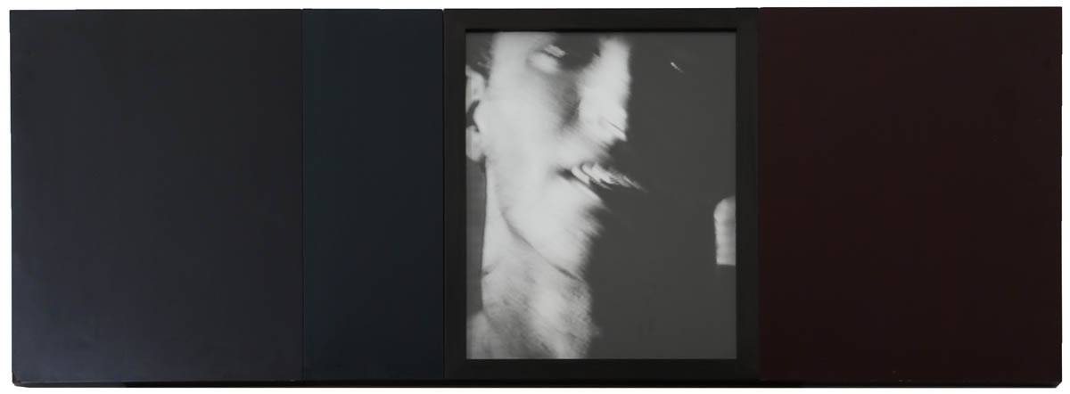 Artwork by Marie-Jo Lafontaine, 'Gray', Made of Gelatin silver print and three lacquered panels