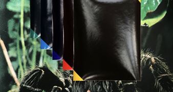 Dead And Alive: 9th Triennial Of Contemporary Art U3 - MG+ Museum of Modern Art