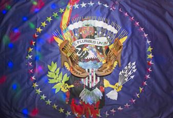 Marni Kotak: Dancing in the Oval Office - Microscope Gallery