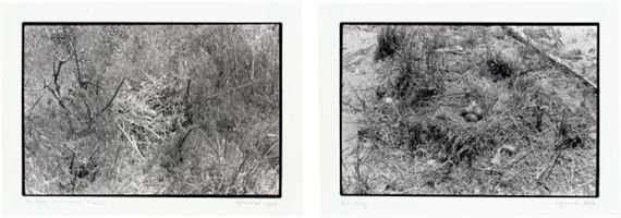 Two works: (i) Nest no. 1; (ii) Nest by Zoe Leonard, Executed in 1997