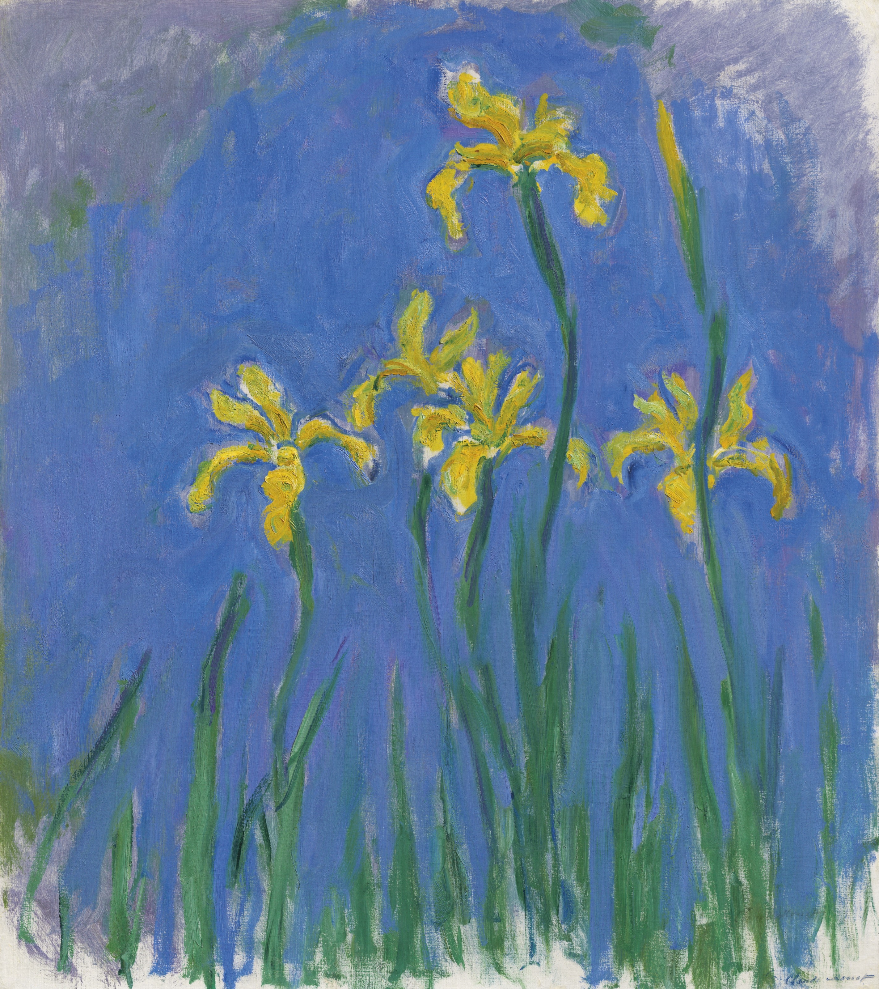 Artwork by Claude Monet, Iris, Made of oil on canvas