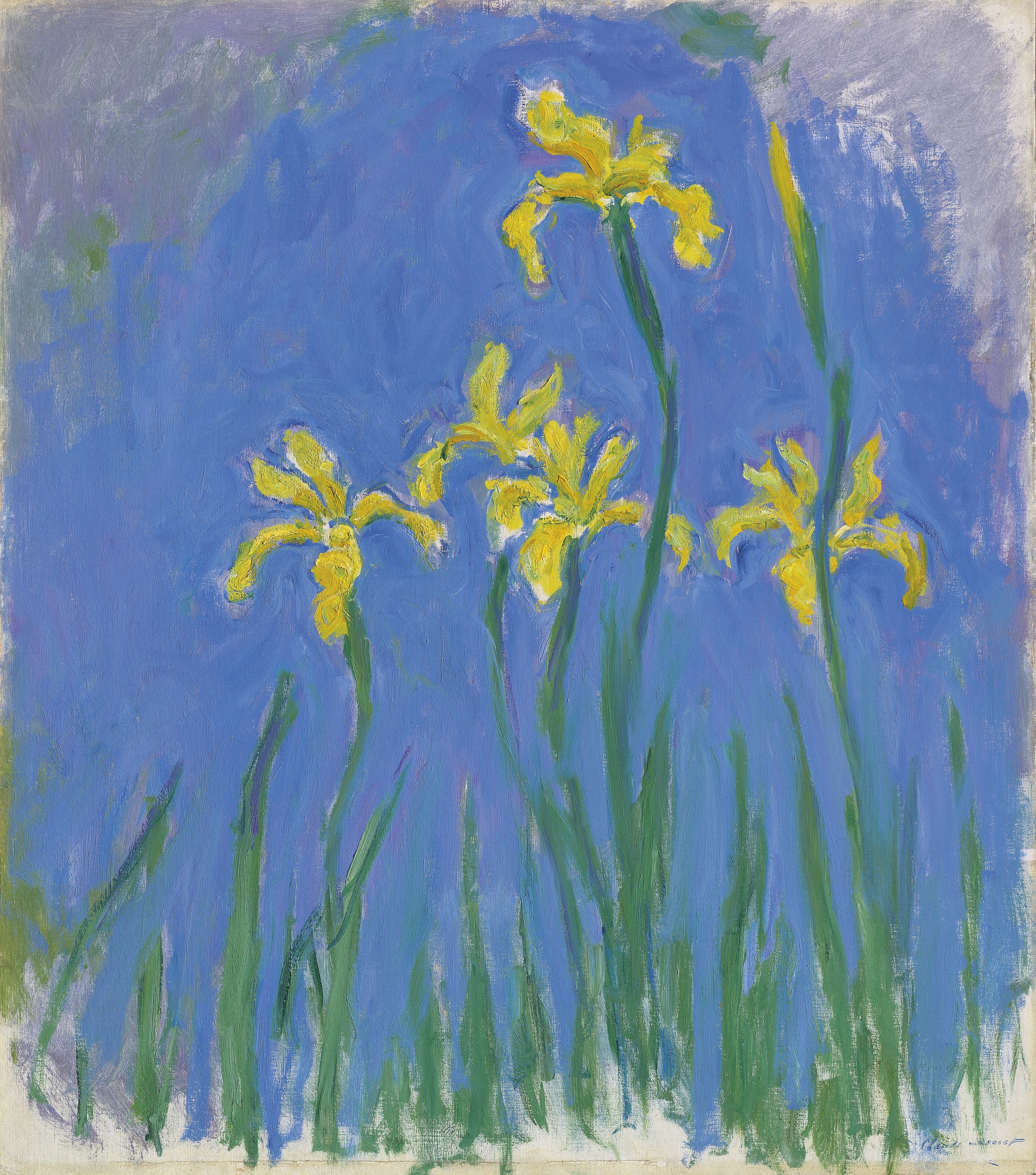 Artwork by Claude Monet, Iris, Made of oil on canvas