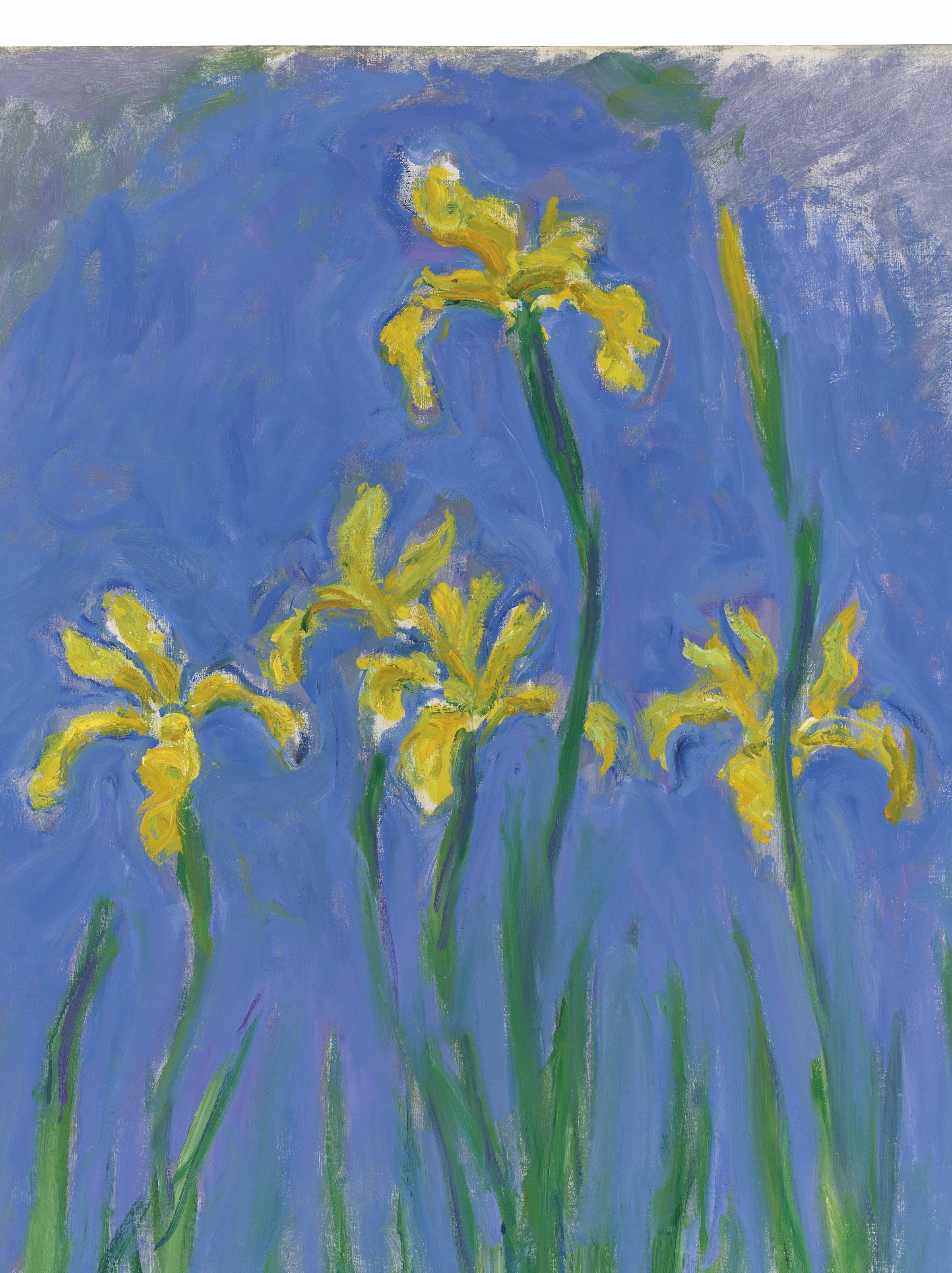 Artwork by Claude Monet, Iris, Made of oil on canvas
