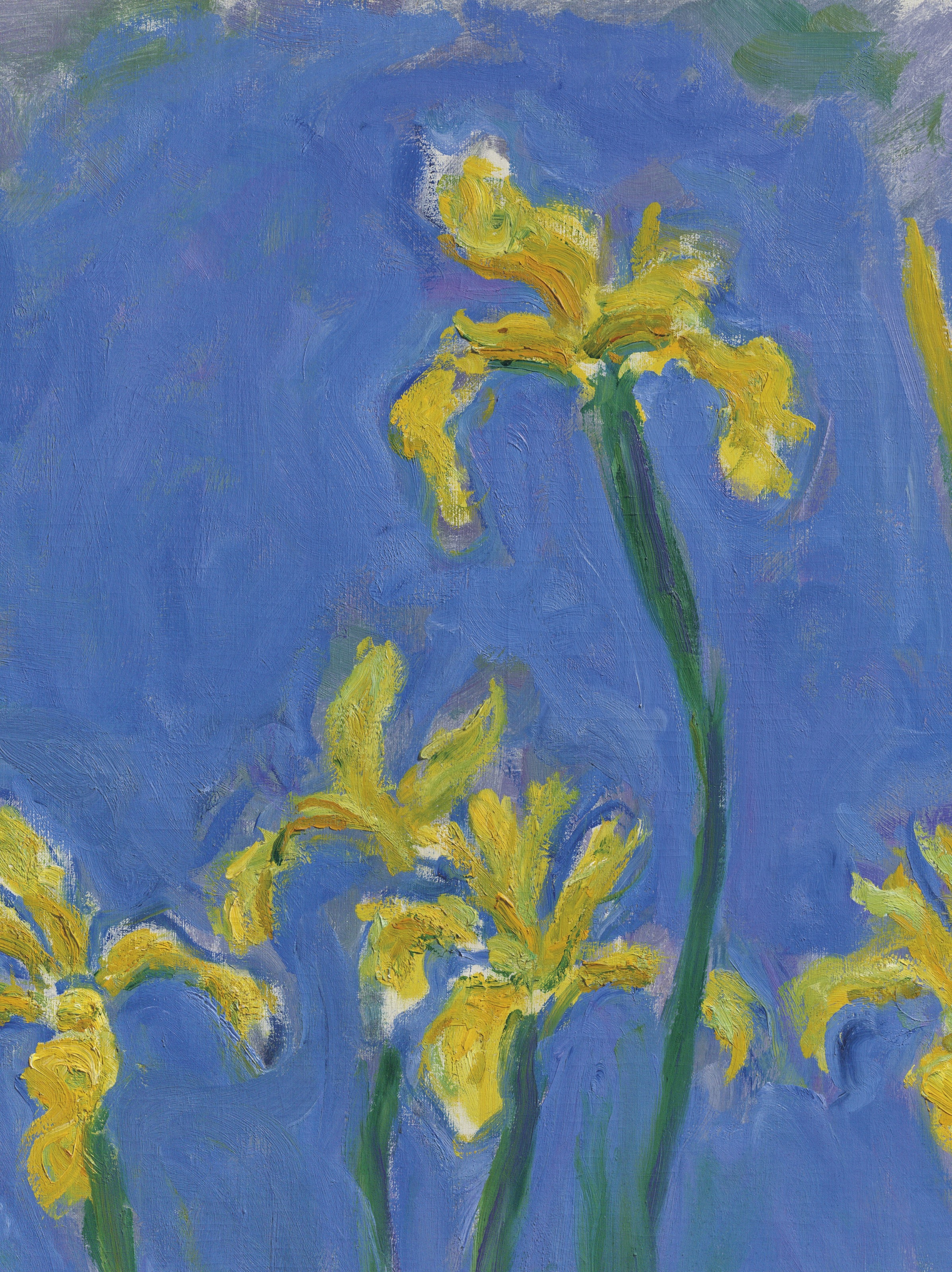 Artwork by Claude Monet, Iris, Made of oil on canvas