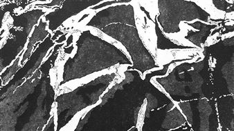 The South West Printmakers: Studio 2019 - Bunbury Regional Art Galleries