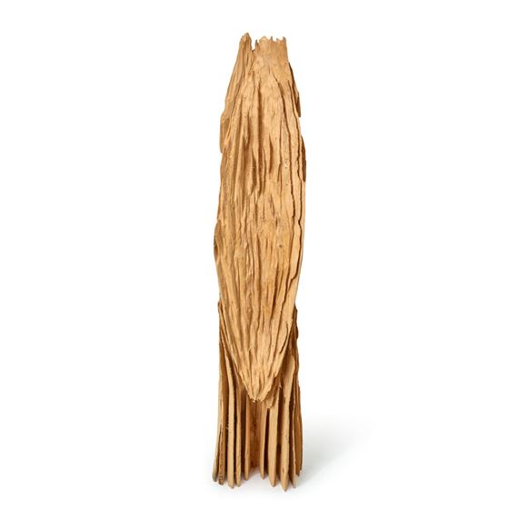 Raised Shield by David Nash, 1992