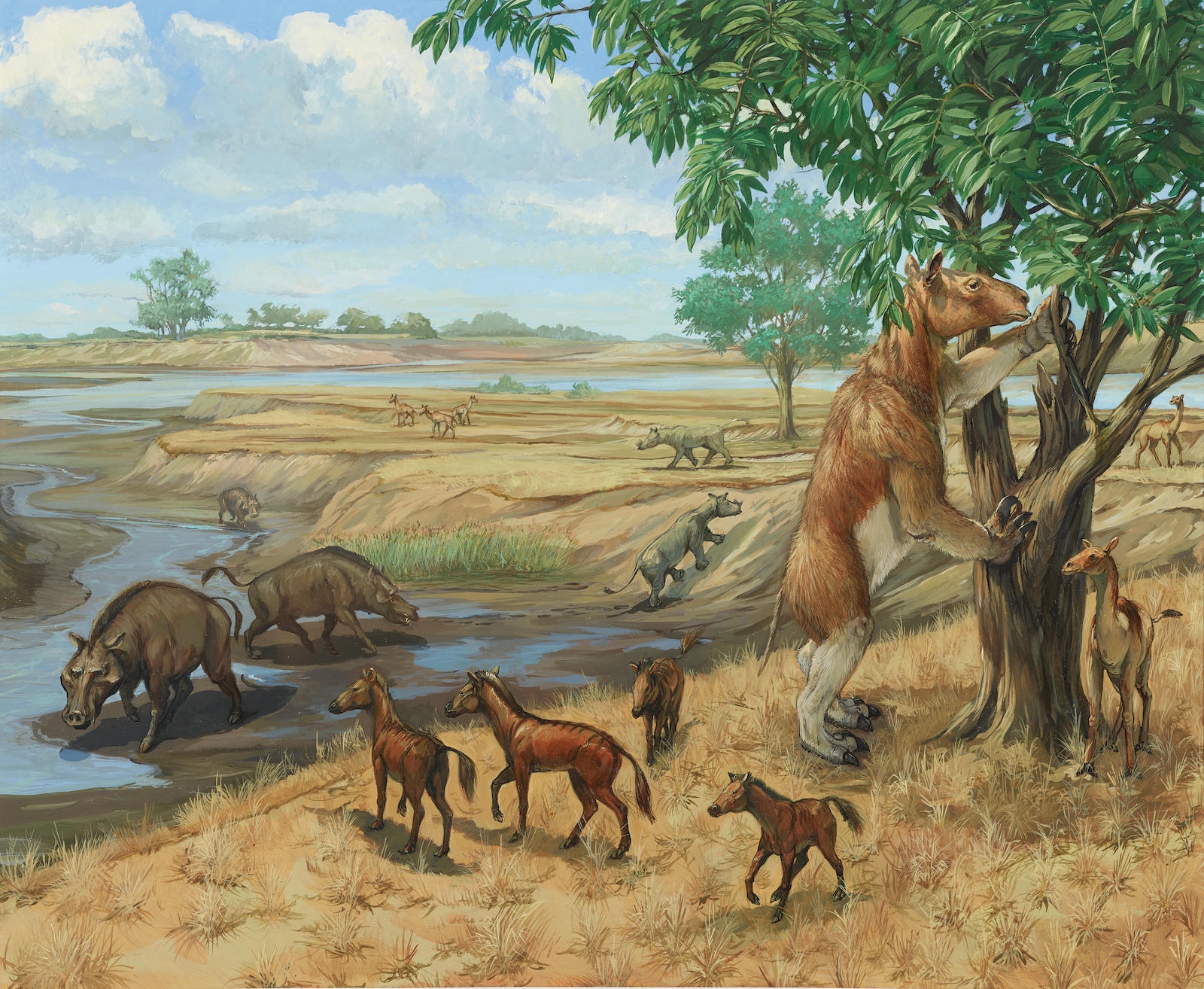 Michael Rothman | Miocene Era habitat group | MutualArt