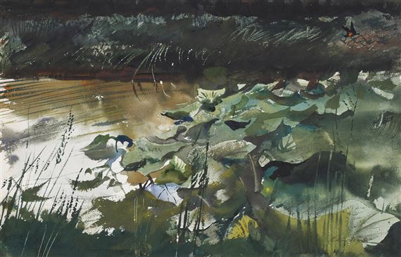 Lily Pads by Andrew Wyeth, Executed in 1954