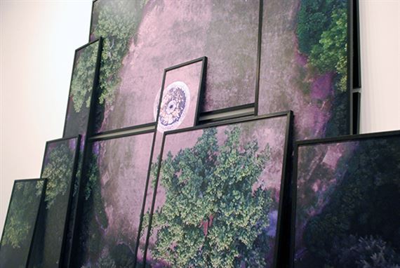 Martin Shallenberger: Artist-in-Residence Umwelts - Cheekwood Estate & Gardens