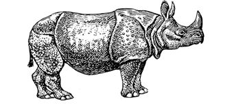 Three plagues - Galeria Labirynt