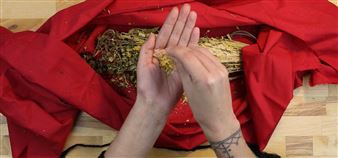 Tender Works - Art Gallery of Greater Victoria