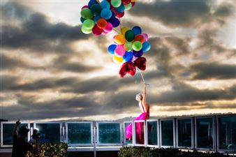 David Drebin - Galerie de Bellefeuille I & II, Montreal
