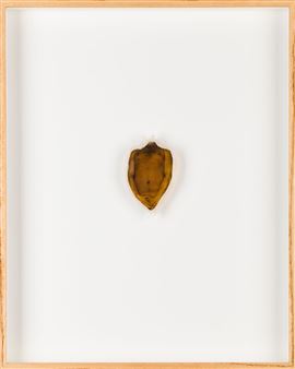 Photographic object from the series "Stamina" - Konrad Kuzyszyn