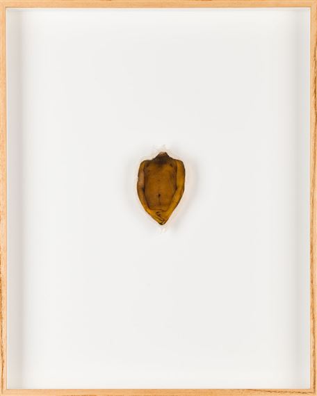 Photographic object from the series "Stamina" by Konrad Kuzyszyn, 1993