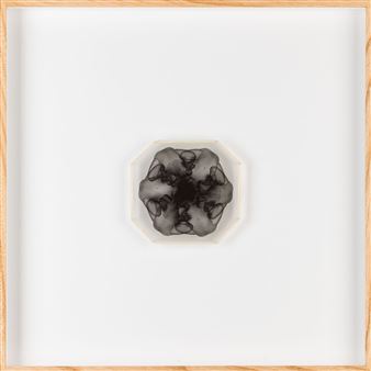 Photographic object from the series "Stamina" - Konrad Kuzyszyn